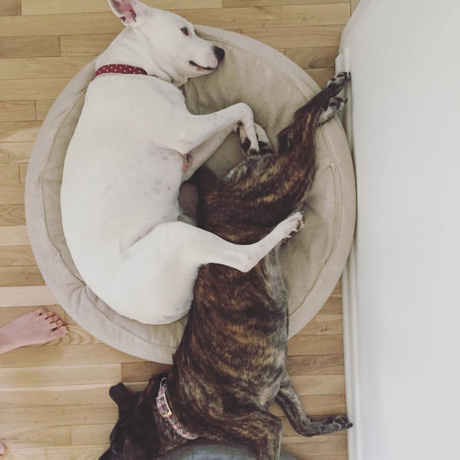 Screen shot 2016 01 22 at 7.11.21 pm