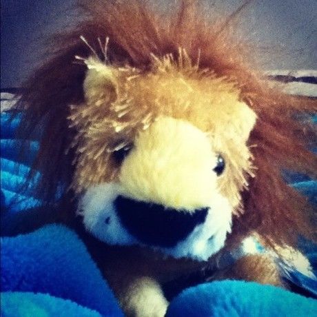 Utfgffs625252ifzibl2