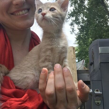 B65747dd 3393 4ee9 a048 3a4d444ee896