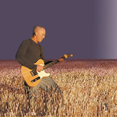 Tele in wheatfield 736x478