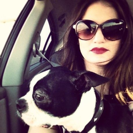 419456 10102041072556131 499530838 n