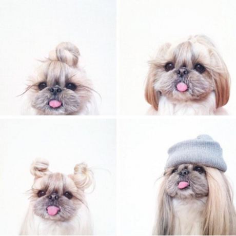 Screen shot 2015 11 25 at 11.32.16 am