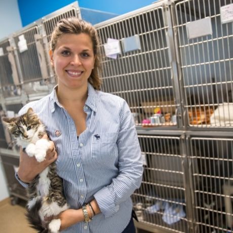 1042411 sarah lise hamel porte parole