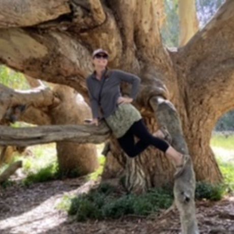 8e47e8d0 8aa0 4ad8 b261 88bf4e37f9a7