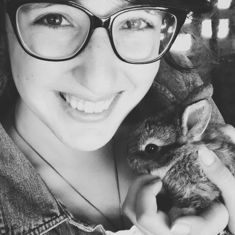 2015 04 03 05.15.06 1