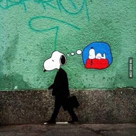 10372525 428378867301471 8635434300906170128 n