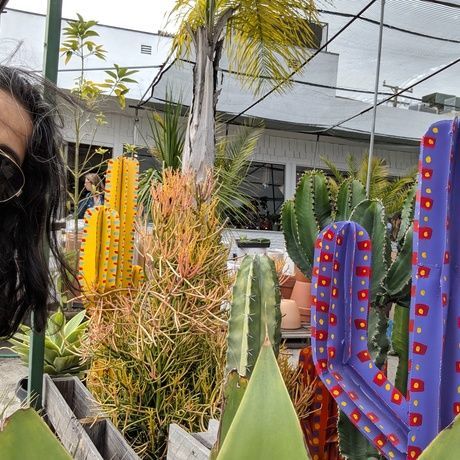 Mvimg 20190623 154114