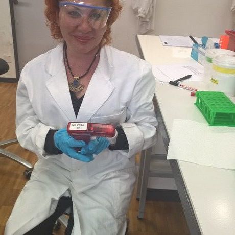 University of bern labs2