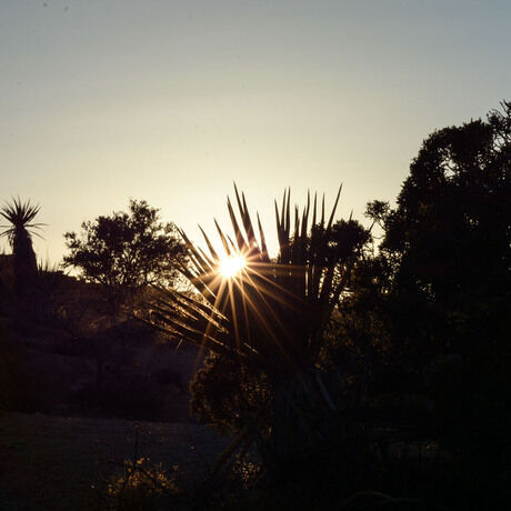 70da0201 df21 4387 8650 b5a1f19f2e46