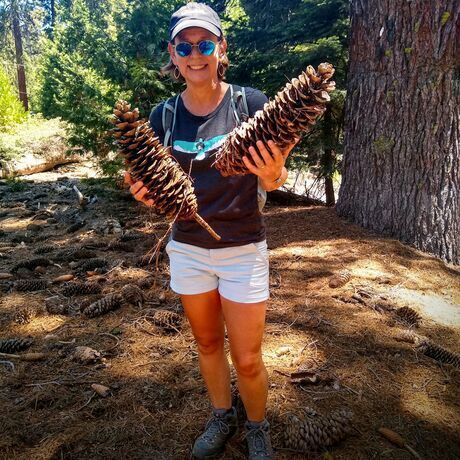 3d7b0e07 ce2c 4914 b0b6 385f16417857