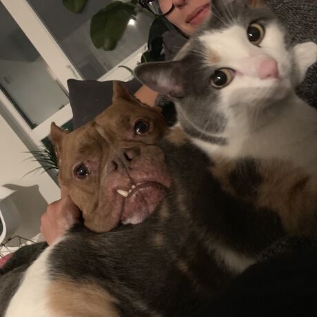 4a80d9a0 597f 44a3 b41a dbb209ae77a9