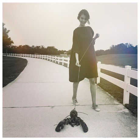 10330481 1492078184341187 6658225894435220111 n