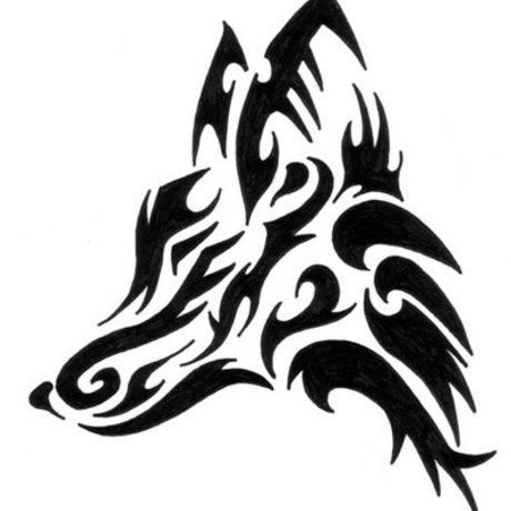 Fox by spiritsong