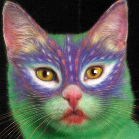 Colorful cat