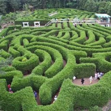 58feaac7ea9b9d0baaa050f64387803e