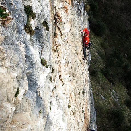 10259093 10154157075655757 82989534134809653 o