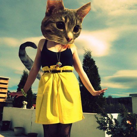 Cat vs  human by cherryd0ugh d4va0lj