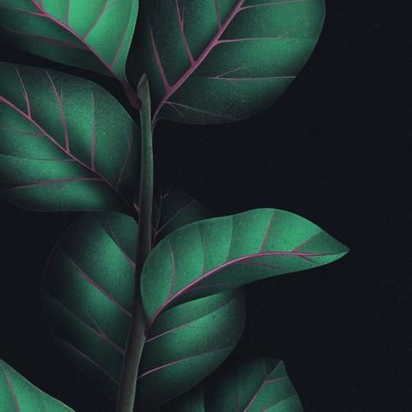 Photo 2020 01 22 10 21 16