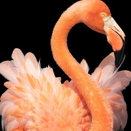 Img 20200328 154639 527