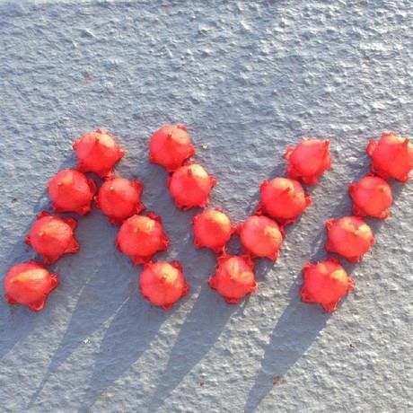 12243086 10153522796272745 7838536031256314460 n