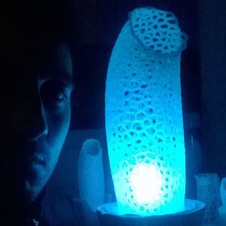 13240640 811164149013608 3955642508768299486 n