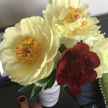 F2bde5a5 575a 4c4a 81a3 3f7dcf88c3f5