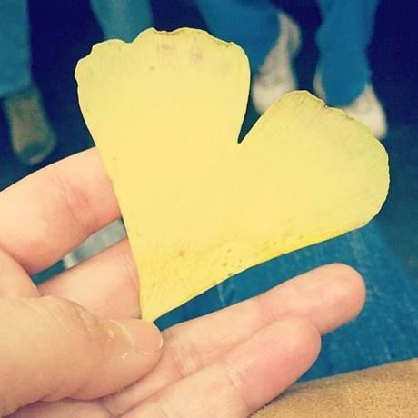 13151584 10154168876938703 8233497810236839108 n