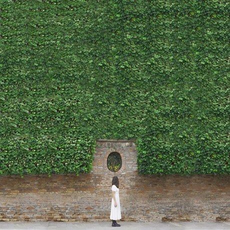 Img 20190416 181304 967