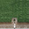 Small img 20190416 181304 967