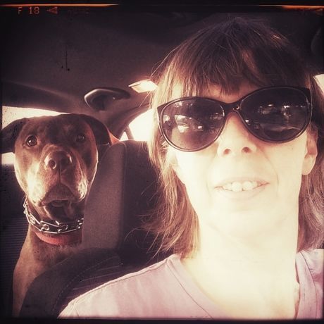 13782100 10154213314350943 554975026973748182 n