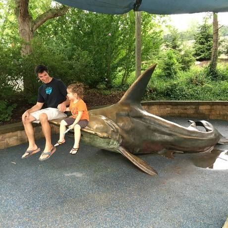 14054478 10209826720568581 3800265460023386740 o  1 