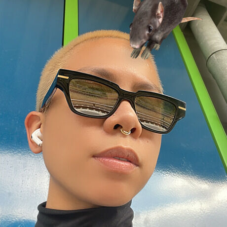 7d24fab4 85d9 428c 8dd2 6ffed38bd4c8