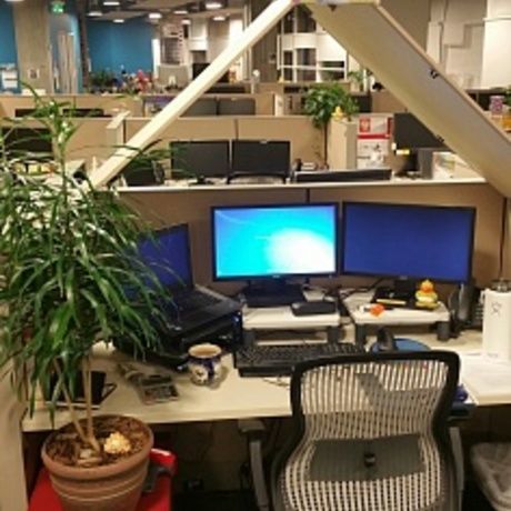 Wfh