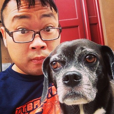 1012240 10153047199050463 1530773771 n