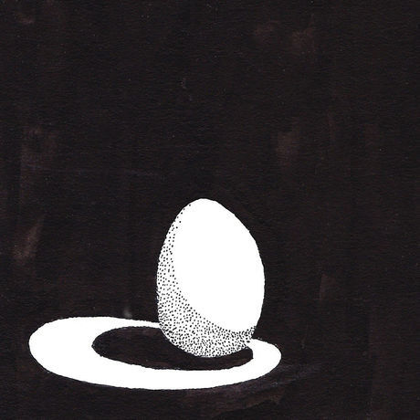 Egg in spotlight cropped on 6 12 13