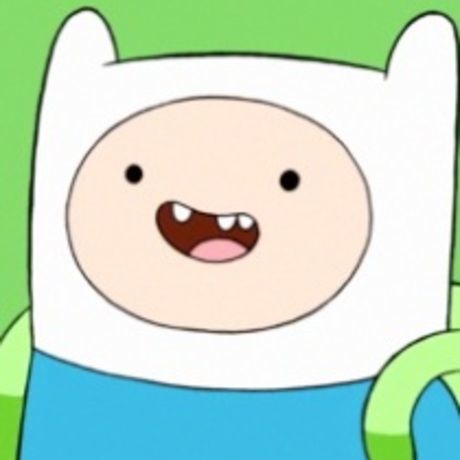 Avatar finn the human