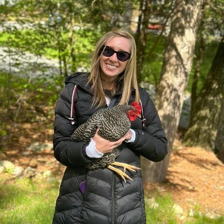 45c7d8ba 9247 443f 81fa 031ebdf5c99b