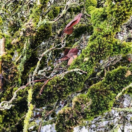 6a843340 0f07 47b8 8218 b4db456200ab