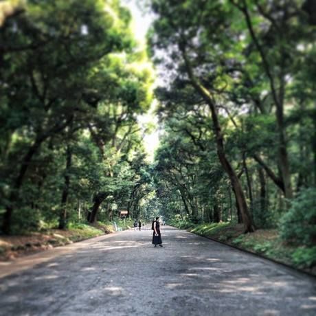 13737621 10154405341364571 1794155525130930247 o 1