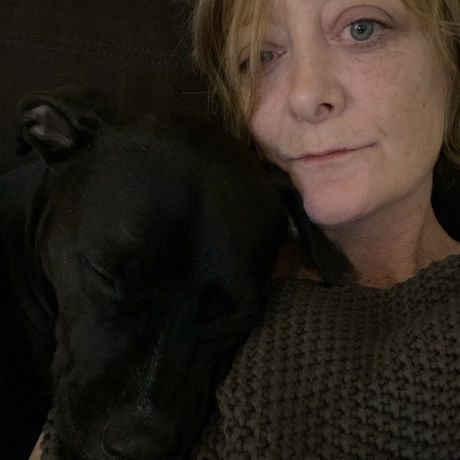 4cf764e1 9529 4077 bb97 0c9188199b9a