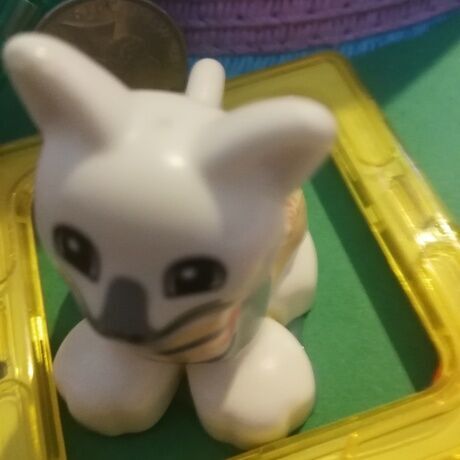 Img 20240327 082315 2