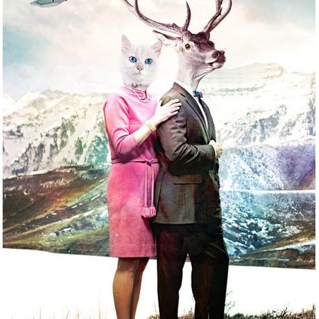 A64cb9513fe8550fd762a888bd61eacb