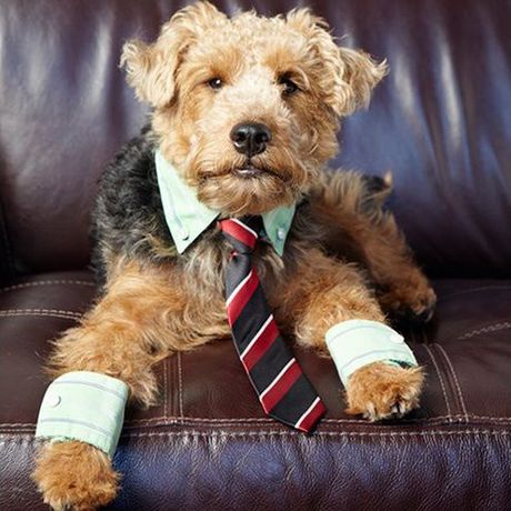 75154 495620183789644 1176161048 n