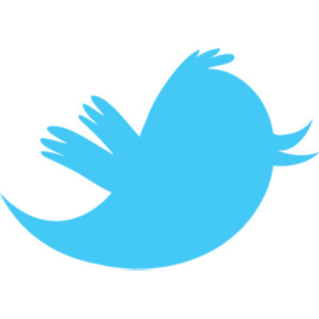 Twitter bird
