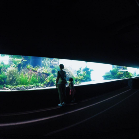 Screen shot 2016 10 17 at 11.06.45 am