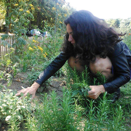 Mi et sauge
