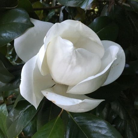 B249dcb4 c269 4ed8 8ccf b0396e0cbdff