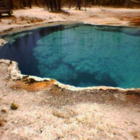 88bca5f8eb8c1be28dfc7abb4f1ef61b