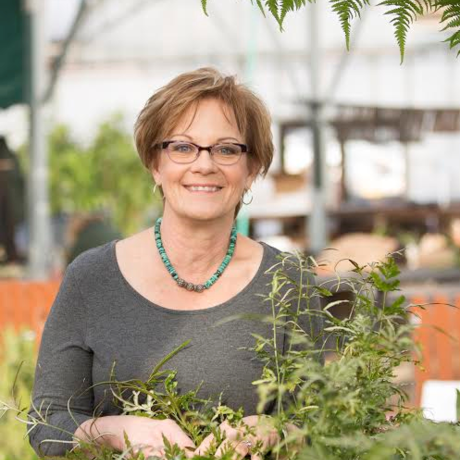 Marti s greenhouse photo