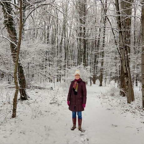 Snowy day 12.17.19